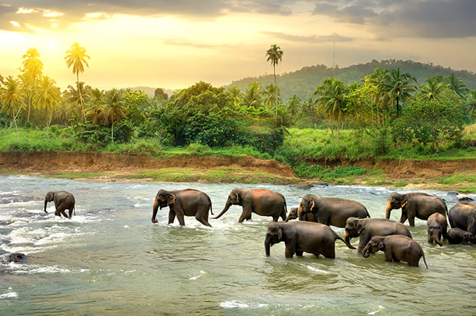 Sri Lanka